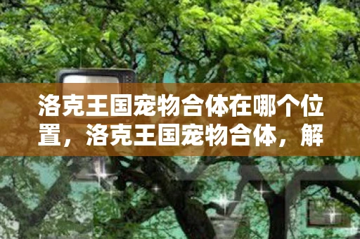 洛克王国宠物合体在哪个位置，洛克王国宠物合体，解锁全新战斗体验