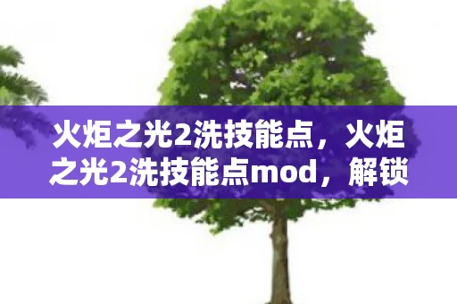 火炬之光2洗技能点，火炬之光2洗技能点mod，解锁无限可能的战斗策略
