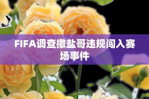 FIFA调查撒盐哥违规闯入赛场事件图片