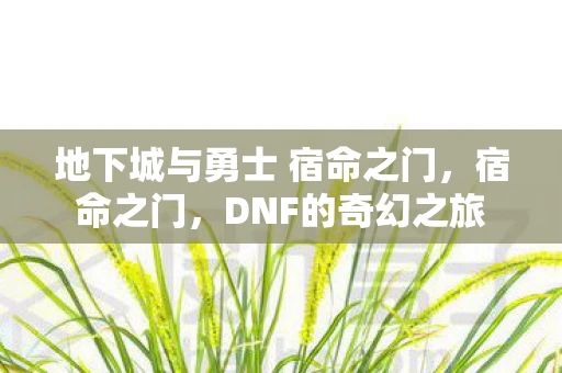 地下城与勇士 宿命之门,宿命之门,DNF的奇幻之旅 地下城与勇士 宿命之门,宿命之门,DNF的奇幻之旅