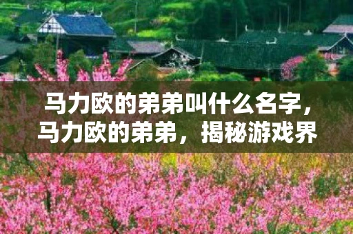 马力欧的弟弟叫什么名字，马力欧的弟弟，揭秘游戏界的神秘角色