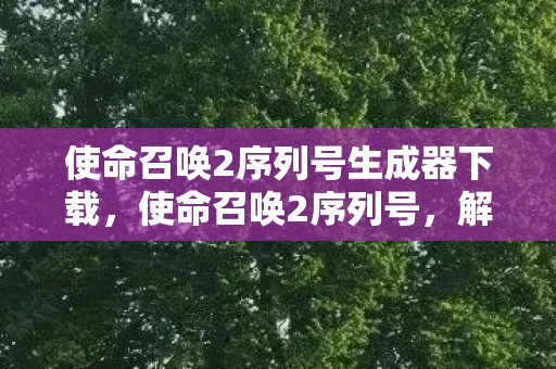 使命召唤2序列号生成器下载,使命召唤2序列号,解锁游戏历史的钥匙 使命召唤2序列号生成器下载,使命召唤2序列号,解锁游戏历史的钥匙