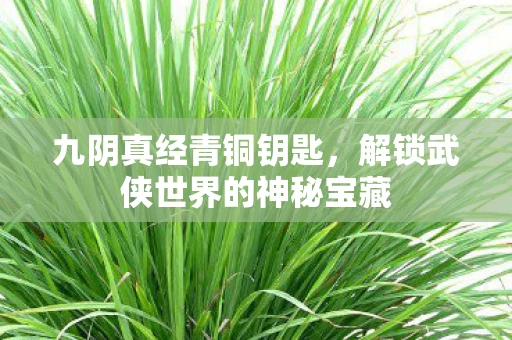 九阴真经青铜钥匙，解锁武侠世界的神秘宝藏