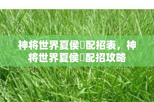 神将世界夏侯惇配招表，神将世界夏侯惇配招攻略