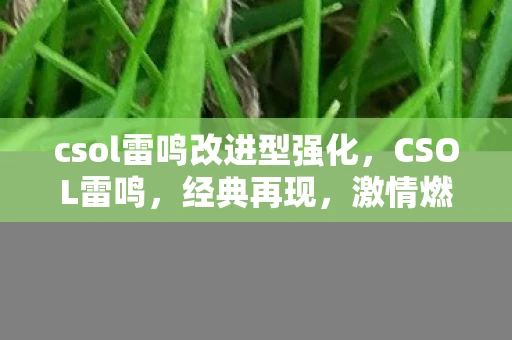 csol雷鸣改进型强化，CSOL雷鸣，经典再现，激情燃烧的岁月