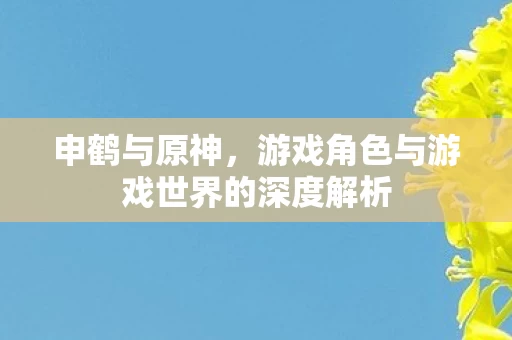 游戏角色与游戏世界的深度解析图片