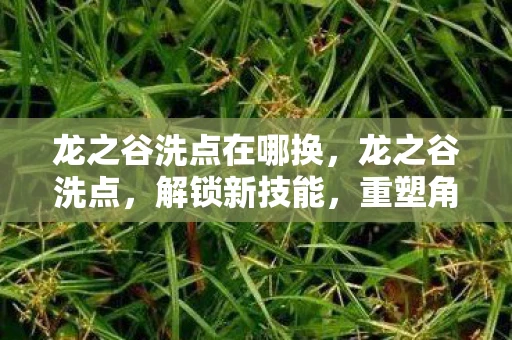 龙之谷洗点在哪换，龙之谷洗点，解锁新技能，重塑角色力量