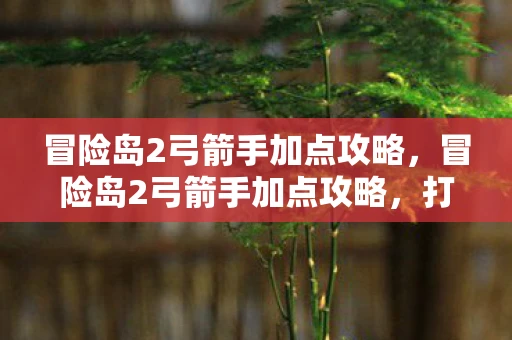 冒险岛2弓箭手加点攻略，冒险岛2弓箭手加点攻略，打造顶级射手的秘诀