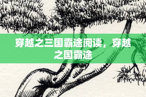 穿越之三国霸途阅读，穿越之国霸途