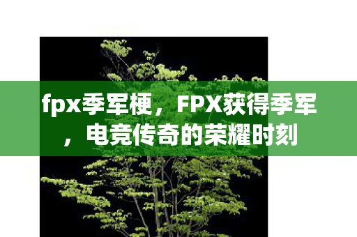 fpx季军梗，FPX获得季军，电竞传奇的荣耀时刻
