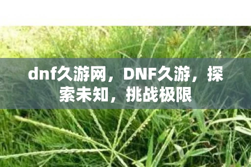 dnf久游网，DNF久游，探索未知，挑战极限