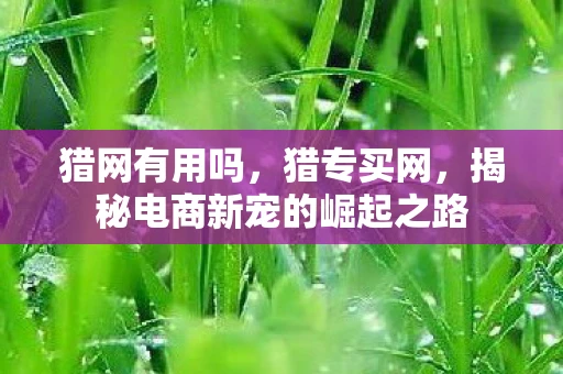 猎网有用吗,猎专买网,揭秘电商新宠的崛起之路 猎网有用吗,猎专买网,揭秘电商新宠的崛起之路