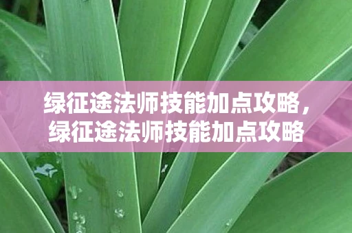 绿征途法师技能加点攻略，绿征途法师技能加点攻略