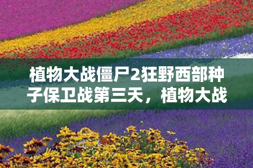 植物大战僵尸2狂野西部种子保卫战第三天，植物大战僵尸2，狂野西部种子保卫战全攻略