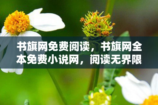 书旗网免费阅读，书旗网全本免费小说网，阅读无界限，知识无门槛
