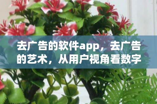 去广告的软件app，去广告的艺术，从用户视角看数字时代的广告过滤