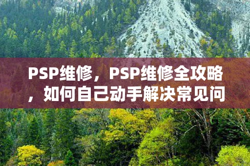 PSP维修，PSP维修全攻略，如何自己动手解决常见问题