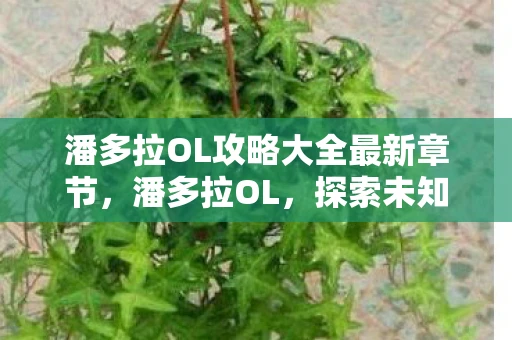 潘多拉OL攻略大全最新章节,潘多拉OL,探索未知世界的奇幻之旅 潘多拉OL攻略大全最新章节,潘多拉OL,探索未知世界的奇幻之旅