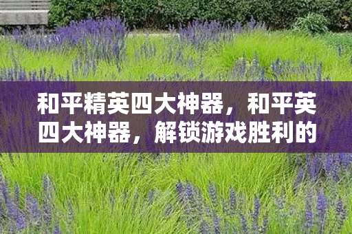 和平精英四大神器,和平英四大神器,解锁游戏胜利的关键 和平精英四大神器,和平英四大神器,解锁游戏胜利的关键