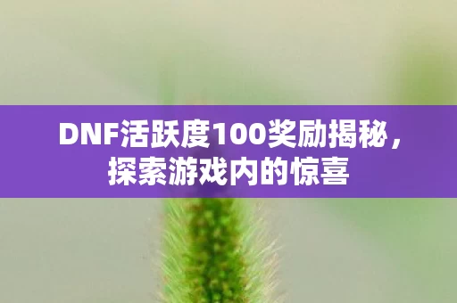 DNF活跃度100奖励揭秘图片