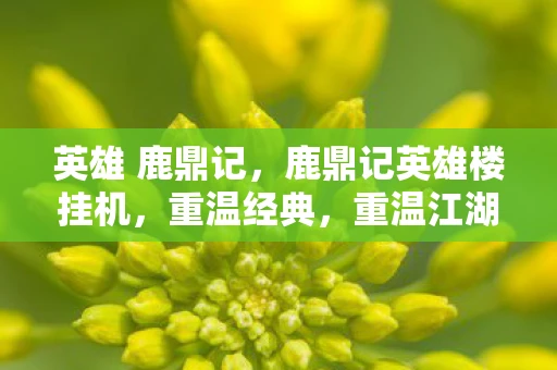 英雄 鹿鼎记,鹿鼎记英雄楼挂机,重温经典,重温江湖 英雄 鹿鼎记,鹿鼎记英雄楼挂机,重温经典,重温江湖