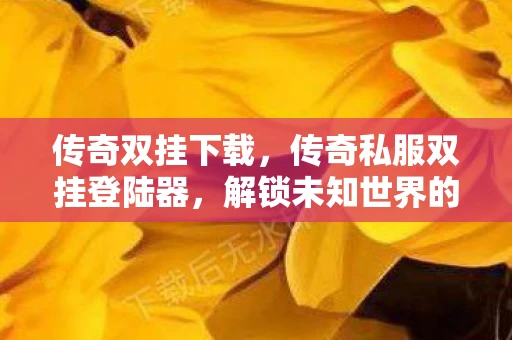 传奇双挂下载，传奇私服双挂登陆器，解锁未知世界的钥匙