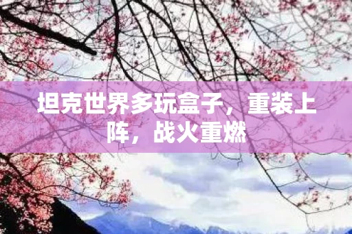 坦克世界多玩盒子图片