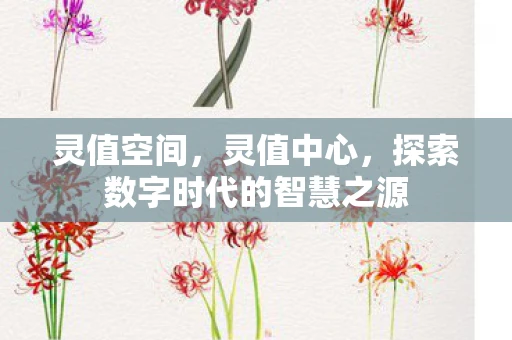灵值空间,灵值中心,探索数字时代的智慧之源 灵值空间,灵值中心,探索数字时代的智慧之源