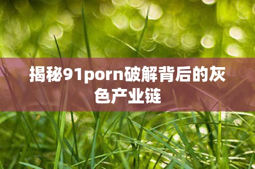 揭秘91porn破解背后的灰色产业链