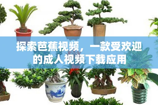 一款受欢迎的成人视频下载应用图片
