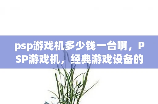 psp游戏机多少钱一台啊，PSP游戏机，经典游戏设备的价格与回忆