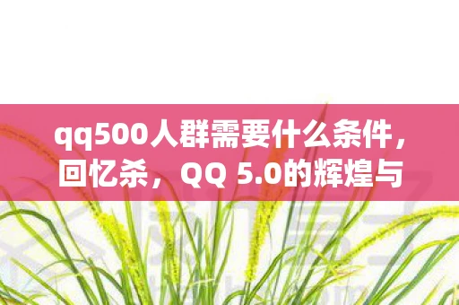 qq500人群需要什么条件,回忆杀,QQ 5.0的辉煌与变迁 qq500人群需要什么条件,回忆杀,QQ 5.0的辉煌与变迁