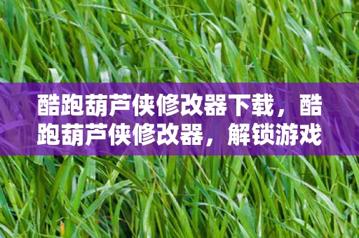 酷跑葫芦侠修改器下载，酷跑葫芦侠修改器，解锁游戏新境界的利器