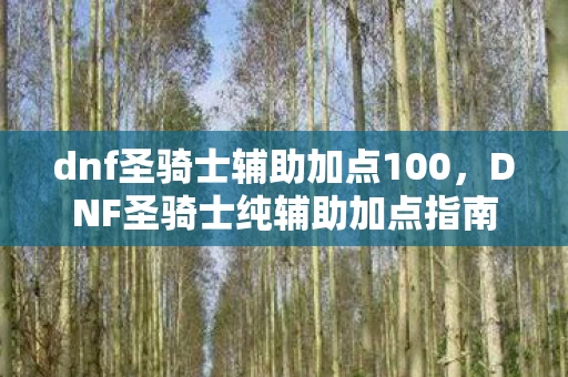 dnf圣骑士辅助加点100，DNF圣骑士纯辅助加点指南，打造最强辅助角色