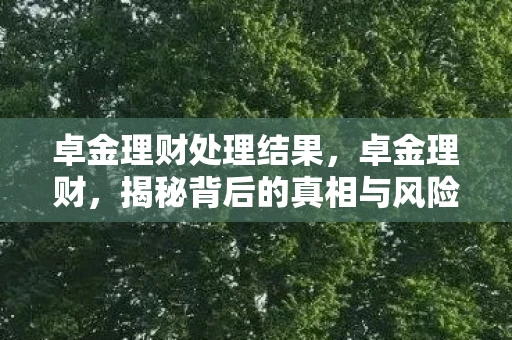 卓金理财处理结果,卓金理财,揭秘背后的真相与风险 卓金理财处理结果,卓金理财,揭秘背后的真相与风险