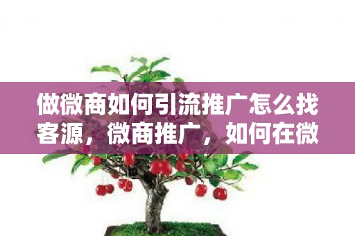 做微商如何引流推广怎么找客源，微商推广，如何在微信生态中打造个人品牌并实现销售增长
