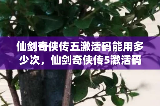 仙剑奇侠传五激活码能用多少次，仙剑奇侠传5激活码能用几次？详解游戏激活码的使用规则