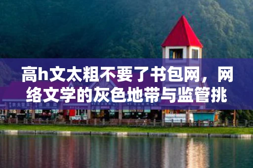 高h文太粗不要了书包网，网络文学的灰色地带与监管挑战