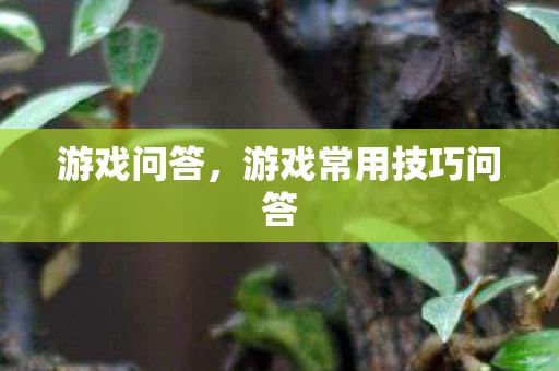 游戏常用技巧问答图片