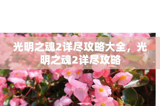 光明之魂2详尽攻略大全,光明之魂2详尽攻略 光明之魂2详尽攻略大全,光明之魂2详尽攻略