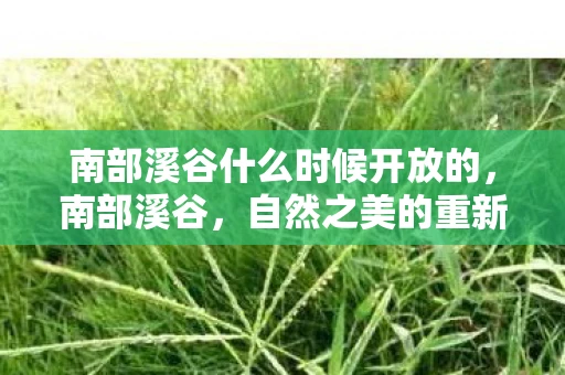 南部溪谷什么时候开放的，南部溪谷，自然之美的重新绽放