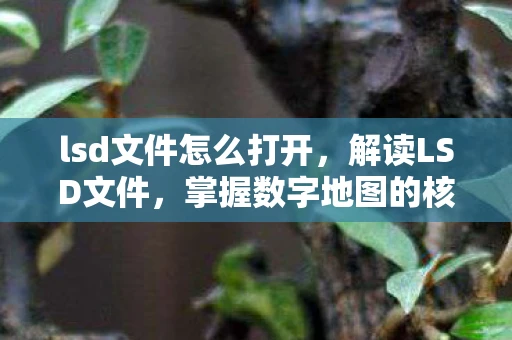 lsd文件怎么打开,解读LSD文件,掌握数字地图的核心数据 lsd文件怎么打开,解读LSD文件,掌握数字地图的核心数据