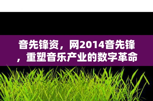 音先锋资,网2014音先锋,重塑音乐产业的数字革命 音先锋资,网2014音先锋,重塑音乐产业的数字革命