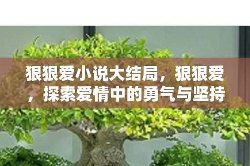 狠狠爱小说大结局,狠狠爱,探索爱情中的勇气与坚持 狠狠爱小说大结局,狠狠爱,探索爱情中的勇气与坚持