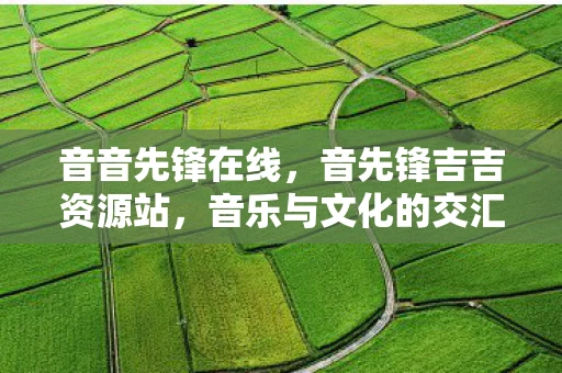 音音先锋在线,音先锋吉吉资源站,音乐与文化的交汇点 音音先锋在线,音先锋吉吉资源站,音乐与文化的交汇点