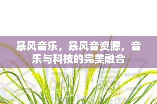 暴风音乐，暴风音资源，音乐与科技的完美融合