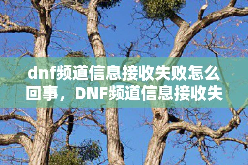 dnf频道信息接收失败怎么回事，DNF频道信息接收失败，解析背后的原因与解决方案