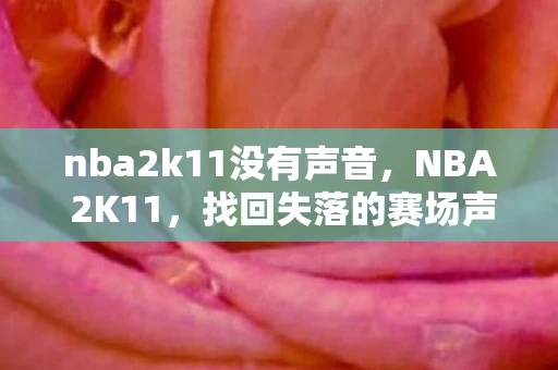 nba2k11没有声音，NBA 2K11，找回失落的赛场声音