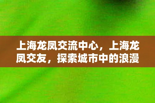 上海龙凤交流中心，上海龙凤交友，探索城市中的浪漫邂逅