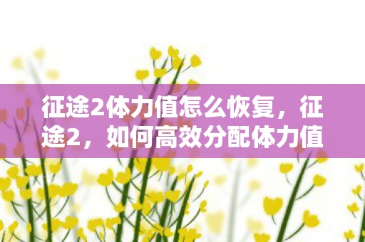 征途2体力值怎么恢复，征途2，如何高效分配体力值